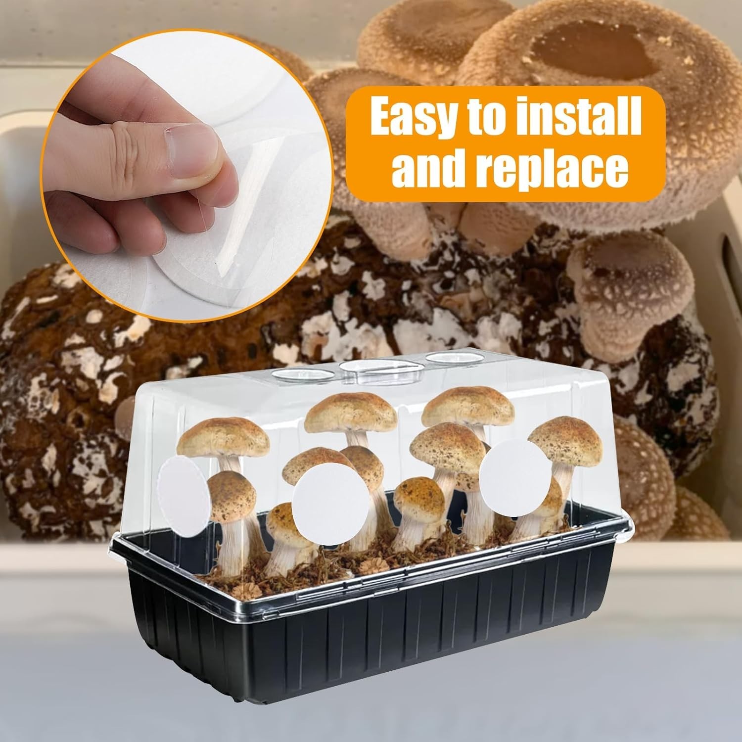 High-Efficiency 2.5in Mushroom Filter Disks – 12PCS for Optimal Gas Exchange