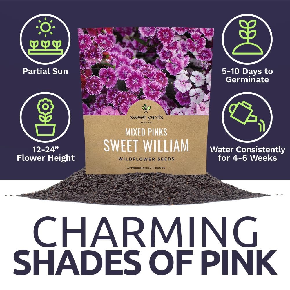 Sweet William Seeds – 1 Ounce Pouch, Shades of white, pink, purple and red