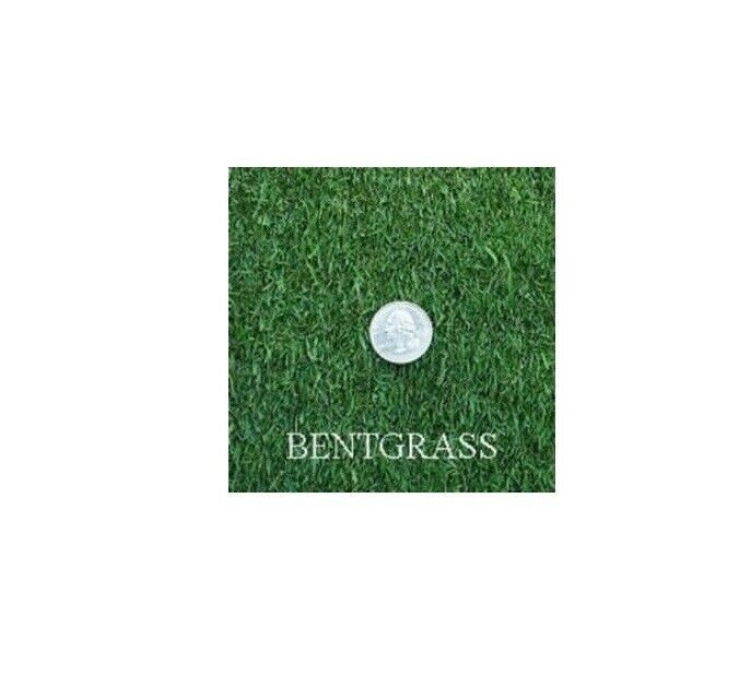Seed Ranch Penncross Creeping BentGrass Seeds 1 Pound FD118