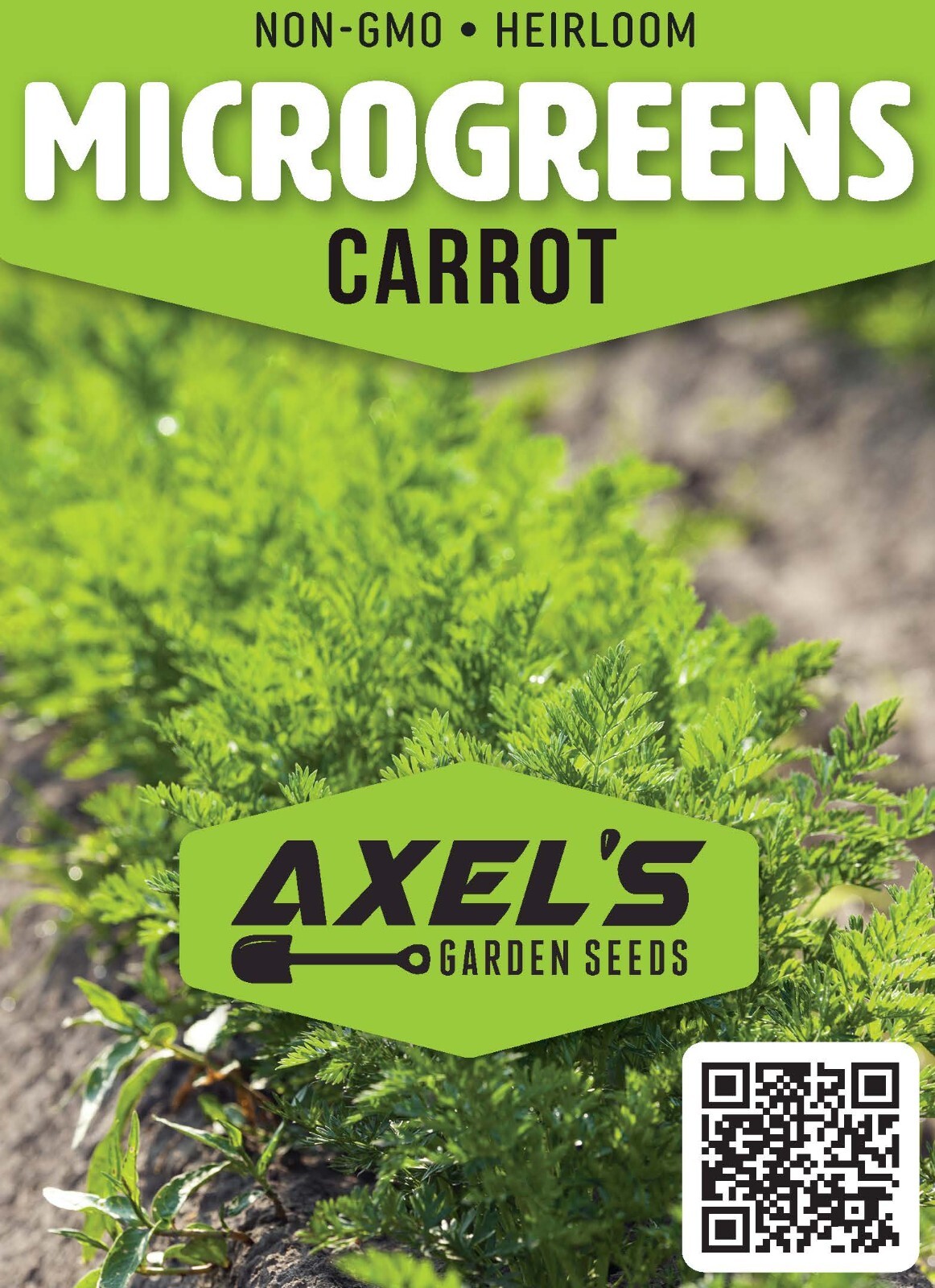 Carrot MICROGREEN Seeds | Non-GMO | Heirloom | Seeds for Sprouting