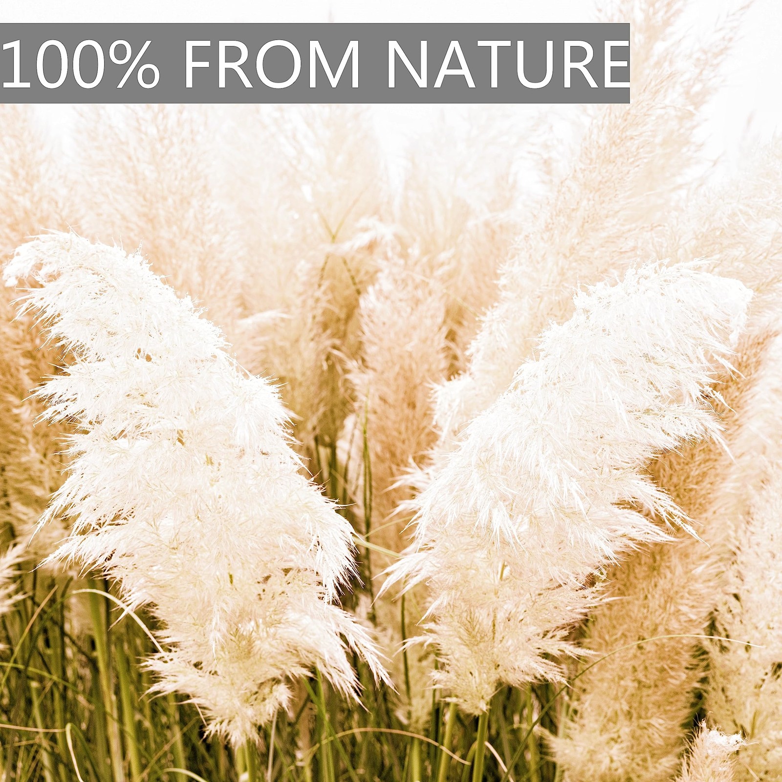 10pcs 40” Pampas Grass Tall Decor – Pompas Floral, pampas grass Brown