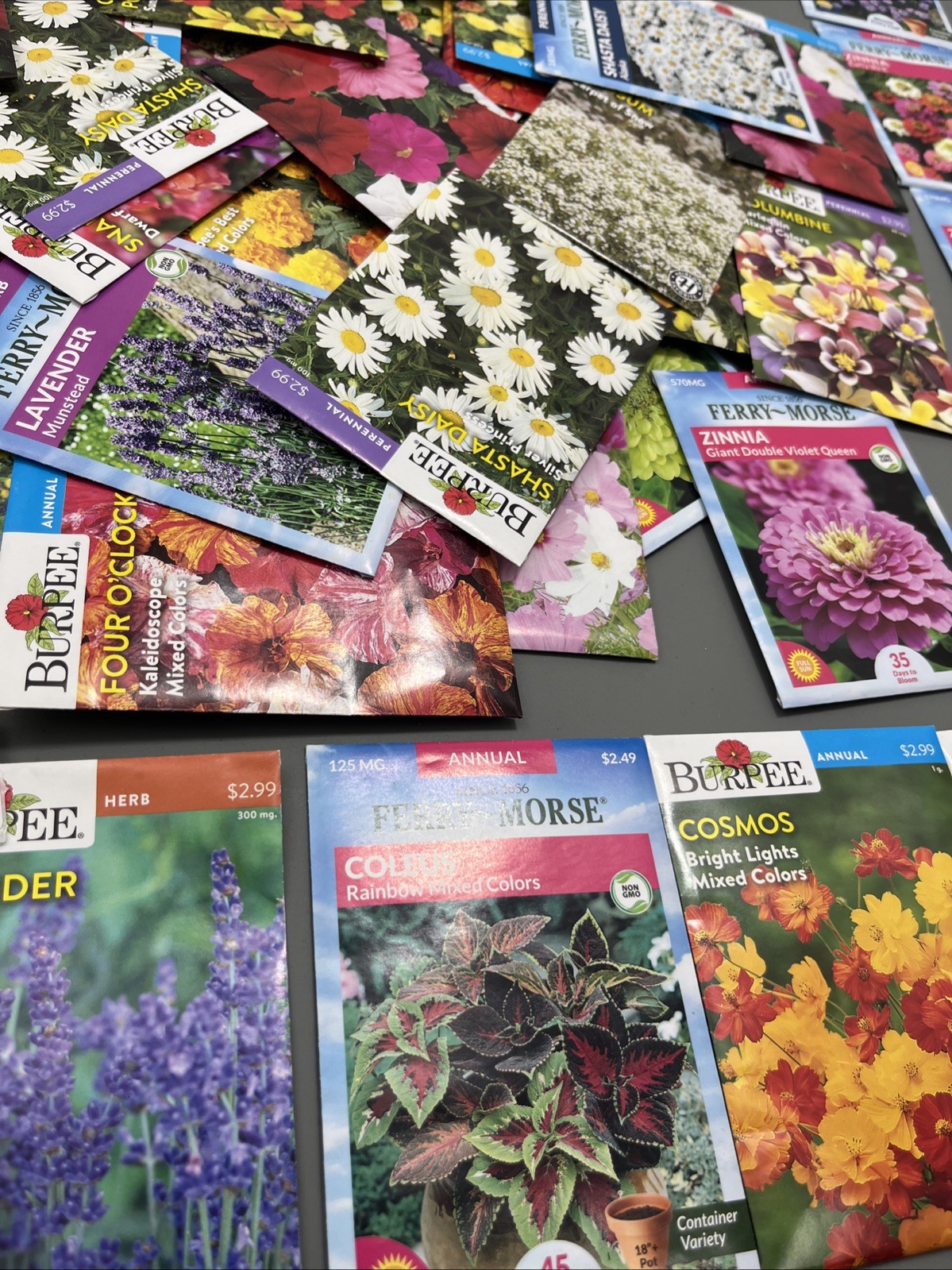 Flowers annual perennial Plant Seeds (Assorted Lot of 100) sell by 11/26 Garden