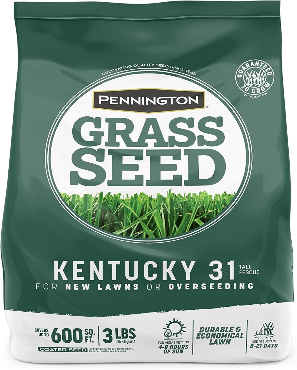 Kentucky 31 Tall Fescue Penkoted Grass Seed 3 Lb