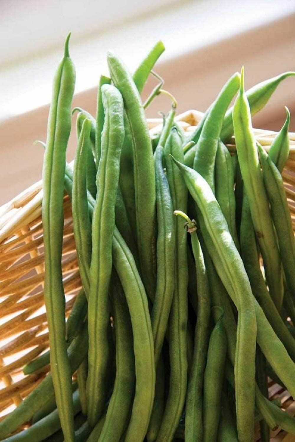 Bean Top Crop Bush Bean Seeds ,”COOL BEANS N SPROUTS” Brand. Home Gardening.