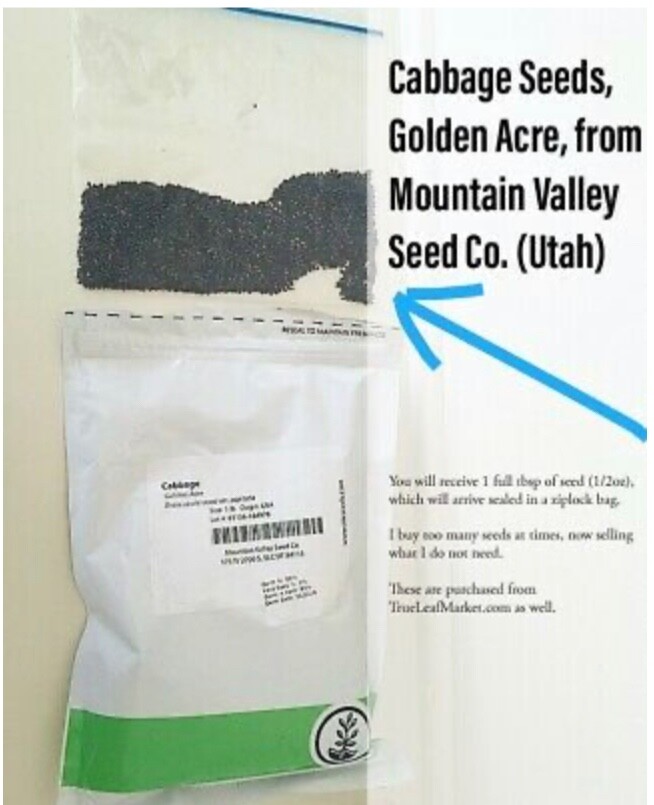 Cabbage Seeds(Golden Acre, Heirloom) 1/2oz seed (1tbsp)Mountain Valley Seed Co. 