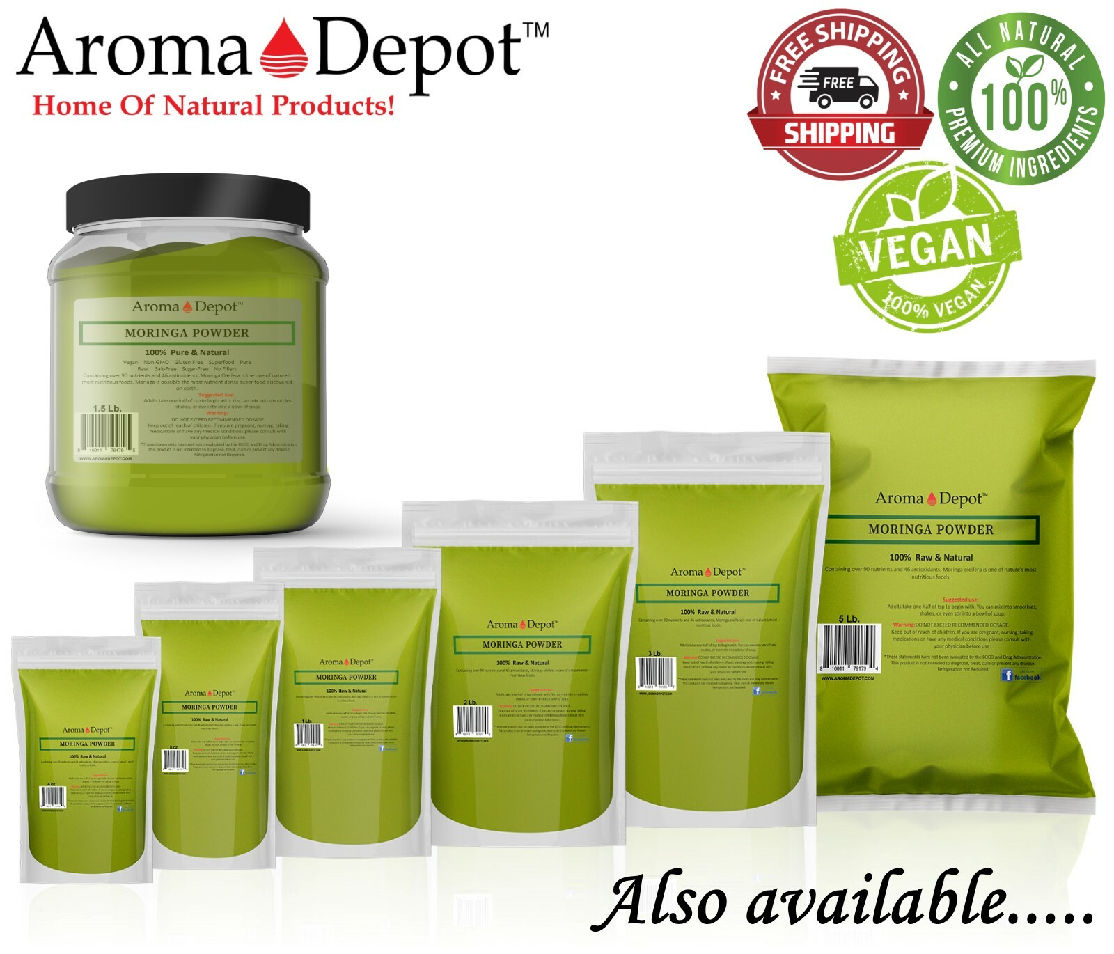 Moringa KERNEL Wholesale Granos de Semillas de Moringa oleifera Malunggay Seeds