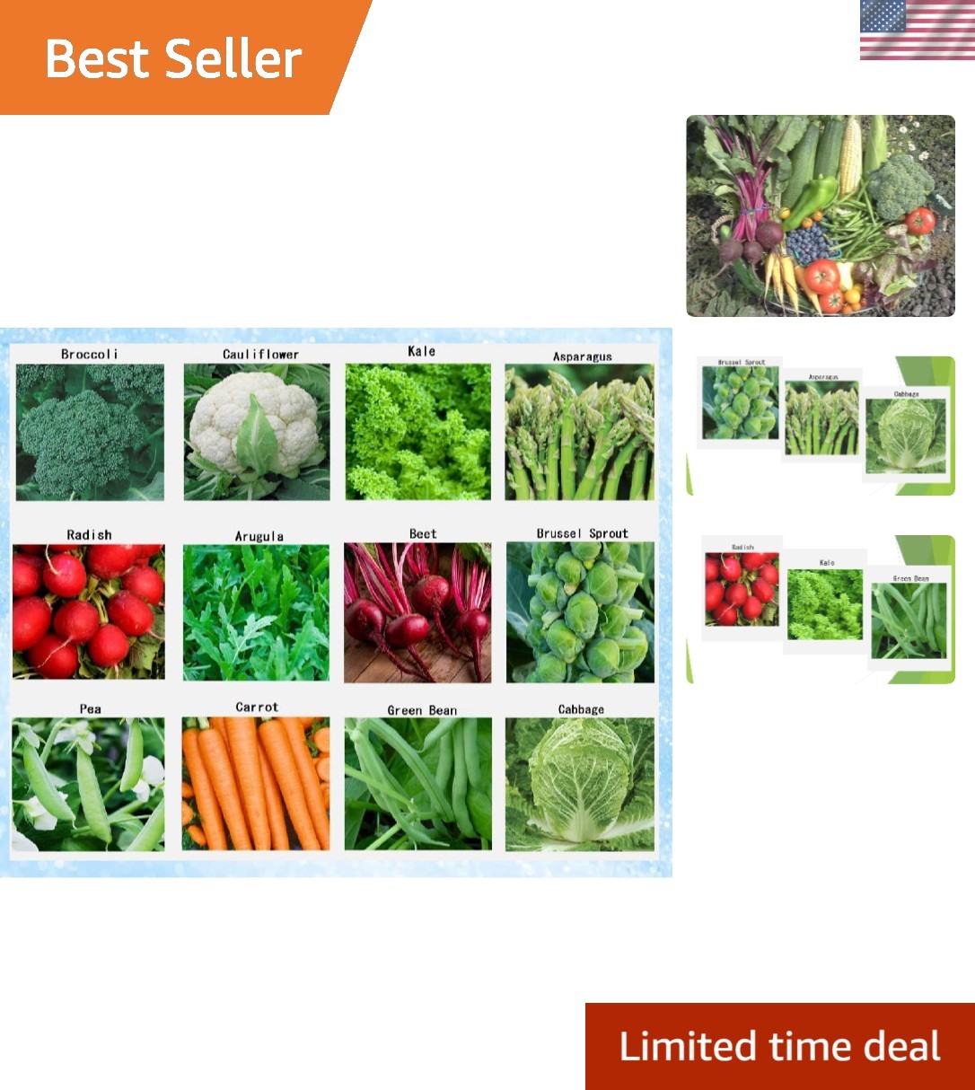 Winter Vegetable Seeds for Planting Organic Non-GMO Heirloom Seeds 12 Varieti…