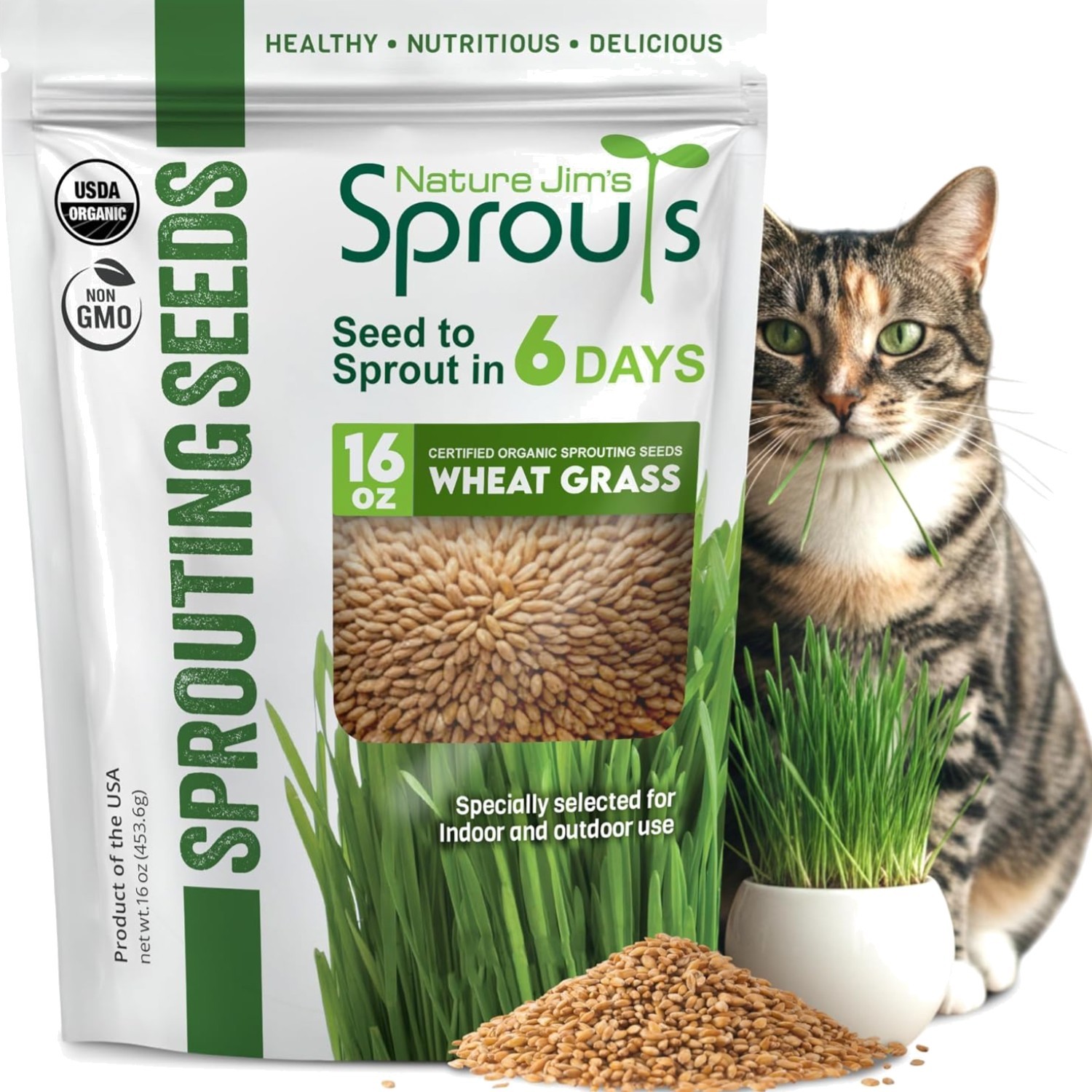 Wheat Grass Seeds – Non-GMO Organic Seeds for Planting, Cat Grass for Growing…