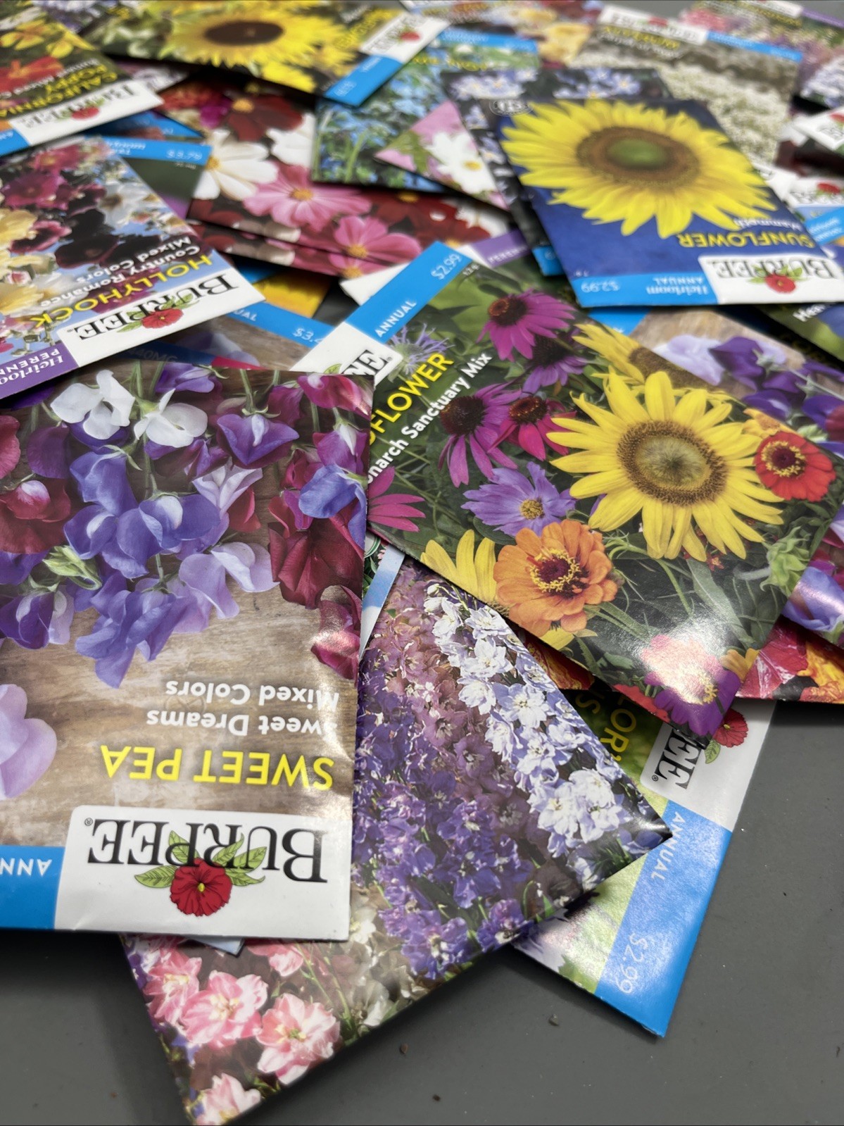 Flowers annual perennial Plant Seeds (Assorted Lot of 100) sell by 11/26 Garden