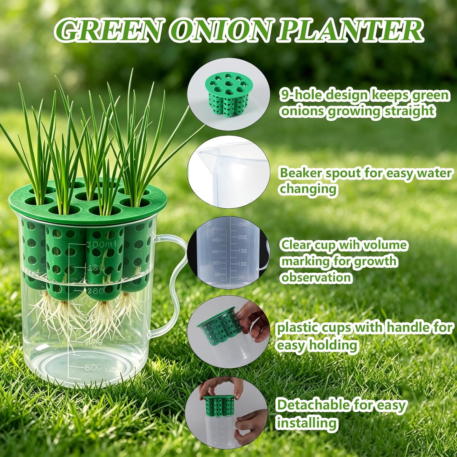 2Set Green Onion Planter Scallion Regrower Seed Sprouting Kit | 2 Green Onion Gr