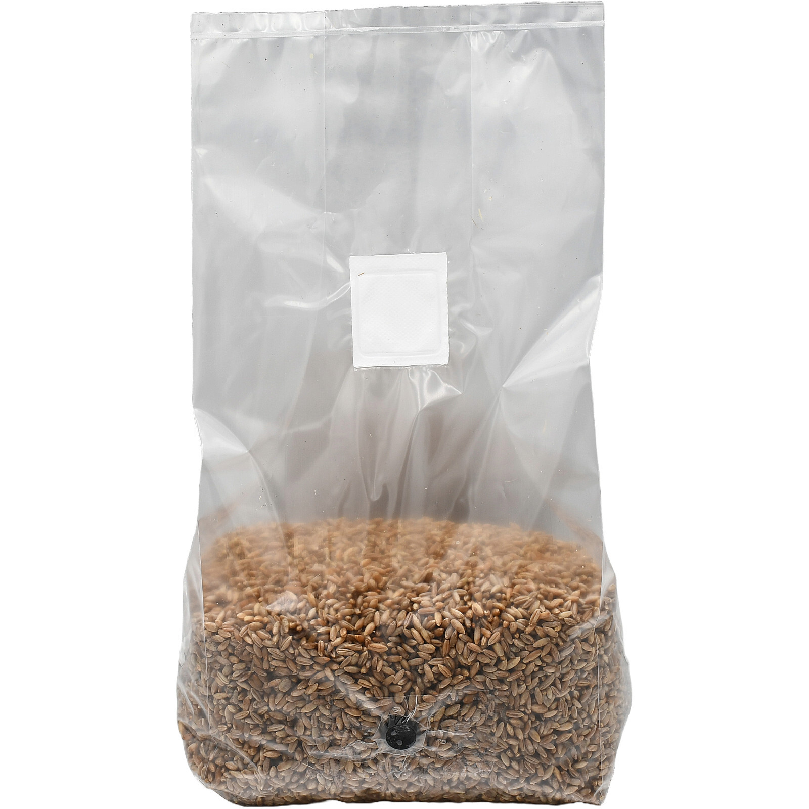 Sterilized Rye Berry Grow Bag (25lbs)