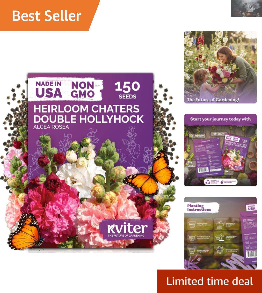 High Germination Rate Hollyhock Seeds – Attract Bees & Butterflies Outdoors