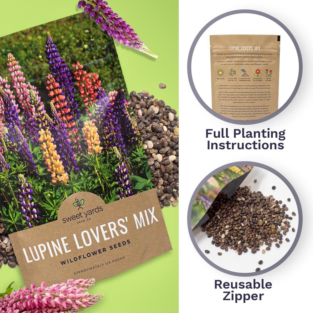 Bulk Lupine Mix Wildflower Seeds 1/4 Pound Bag – Over 4,500 Untreated Annual …
