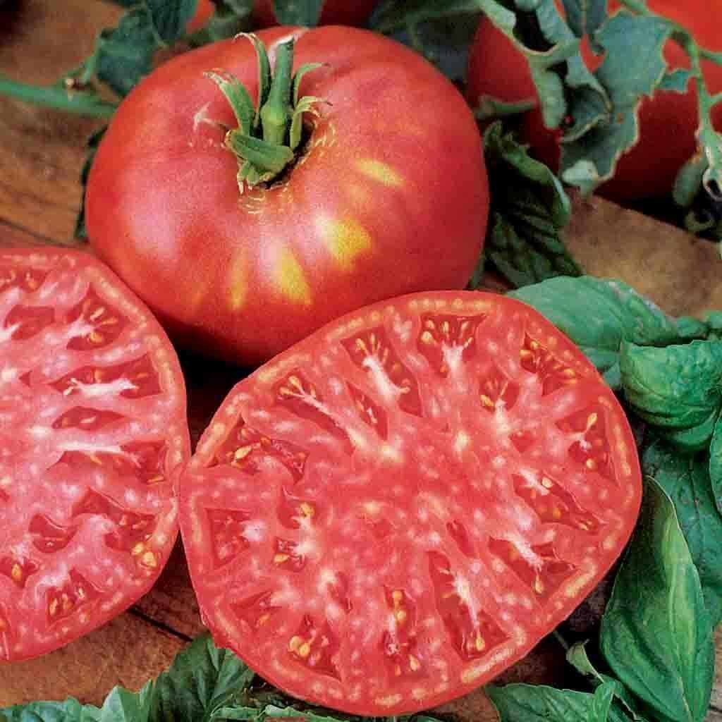30+ Black / Pink Brandywine Tomato Seeds Indeterminate Non-GMO Heirloom Free S/H