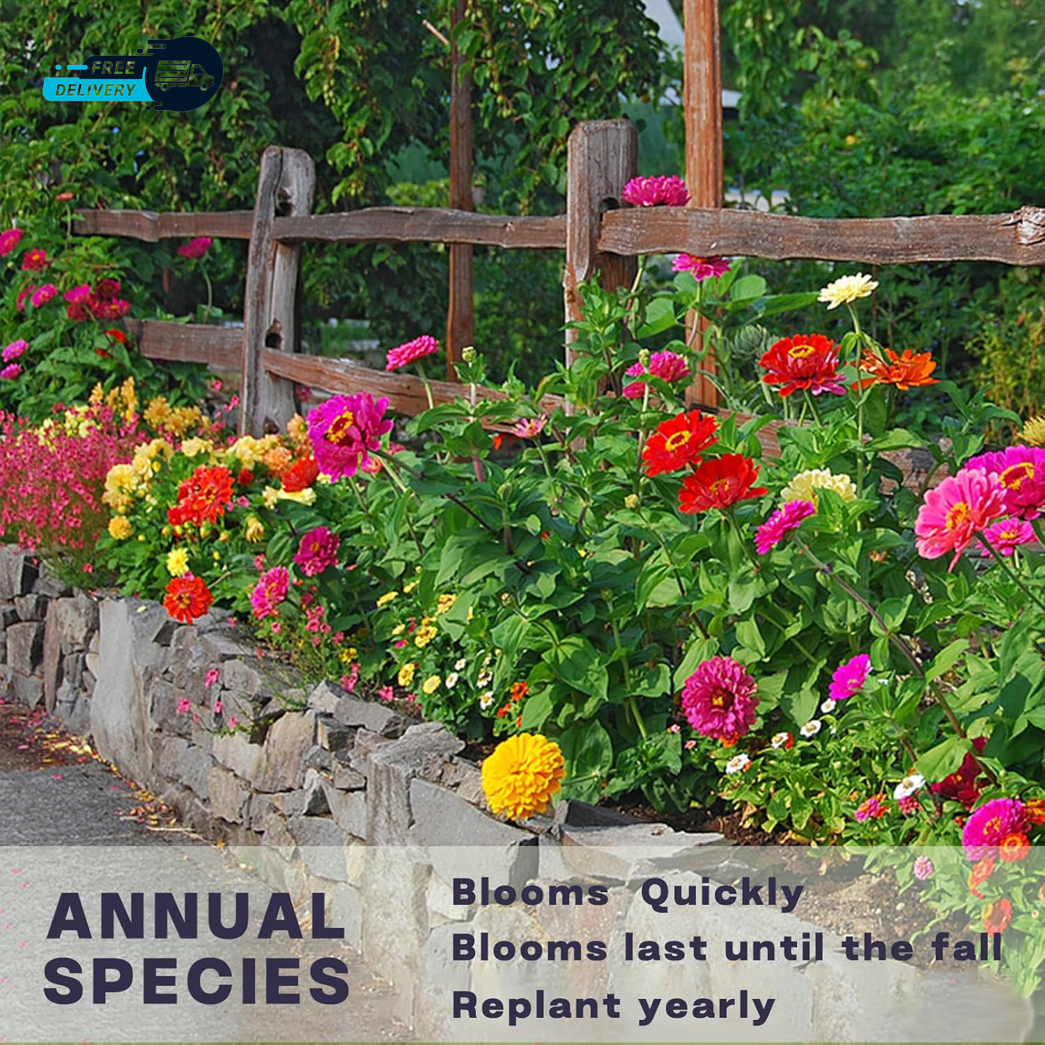 Zinnia Seeds Bulk 5000+ Outdoor Flower for Planting Giant Zinnia Seeds for 2026