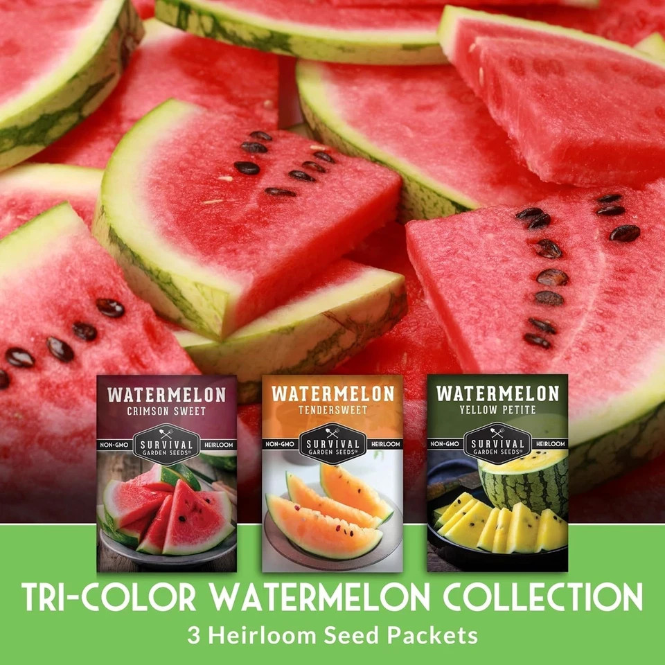 Tri-Color Watermelon Seeds for Planting – Heirloom Mix of Crimson Sweet, Yellow