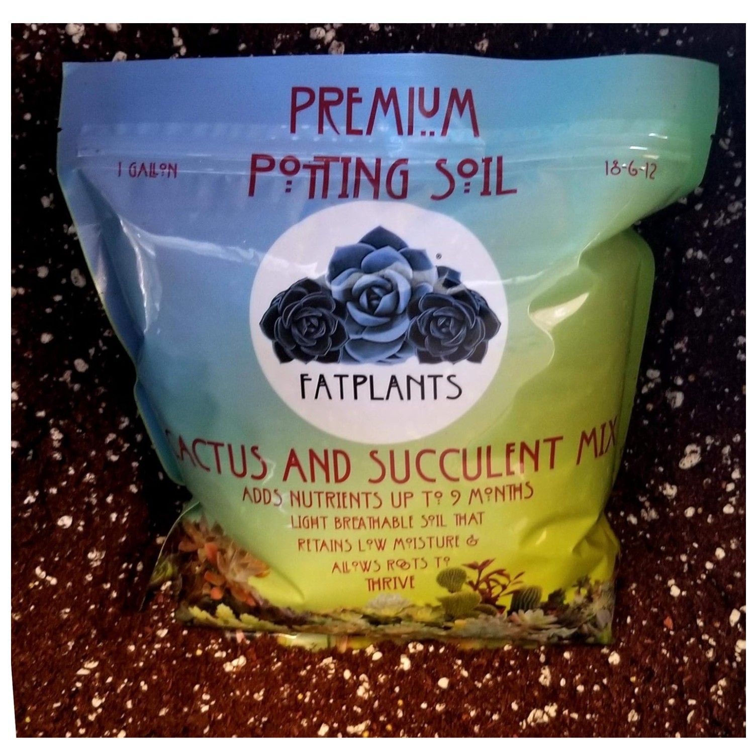 Succulent Potting Soil with Natural Fertilizer