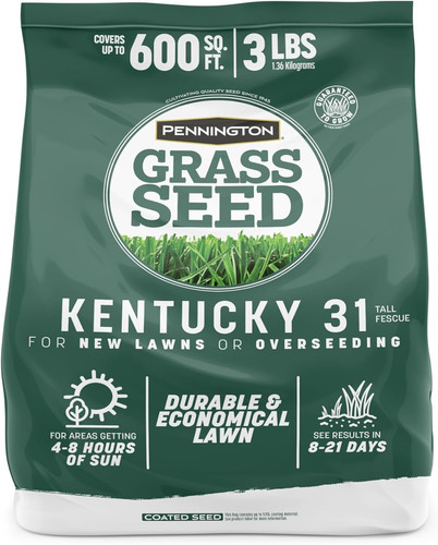 Pennington Kentucky 31 Fescue 3 LB Tall Grass Seed, 3 LB, Green