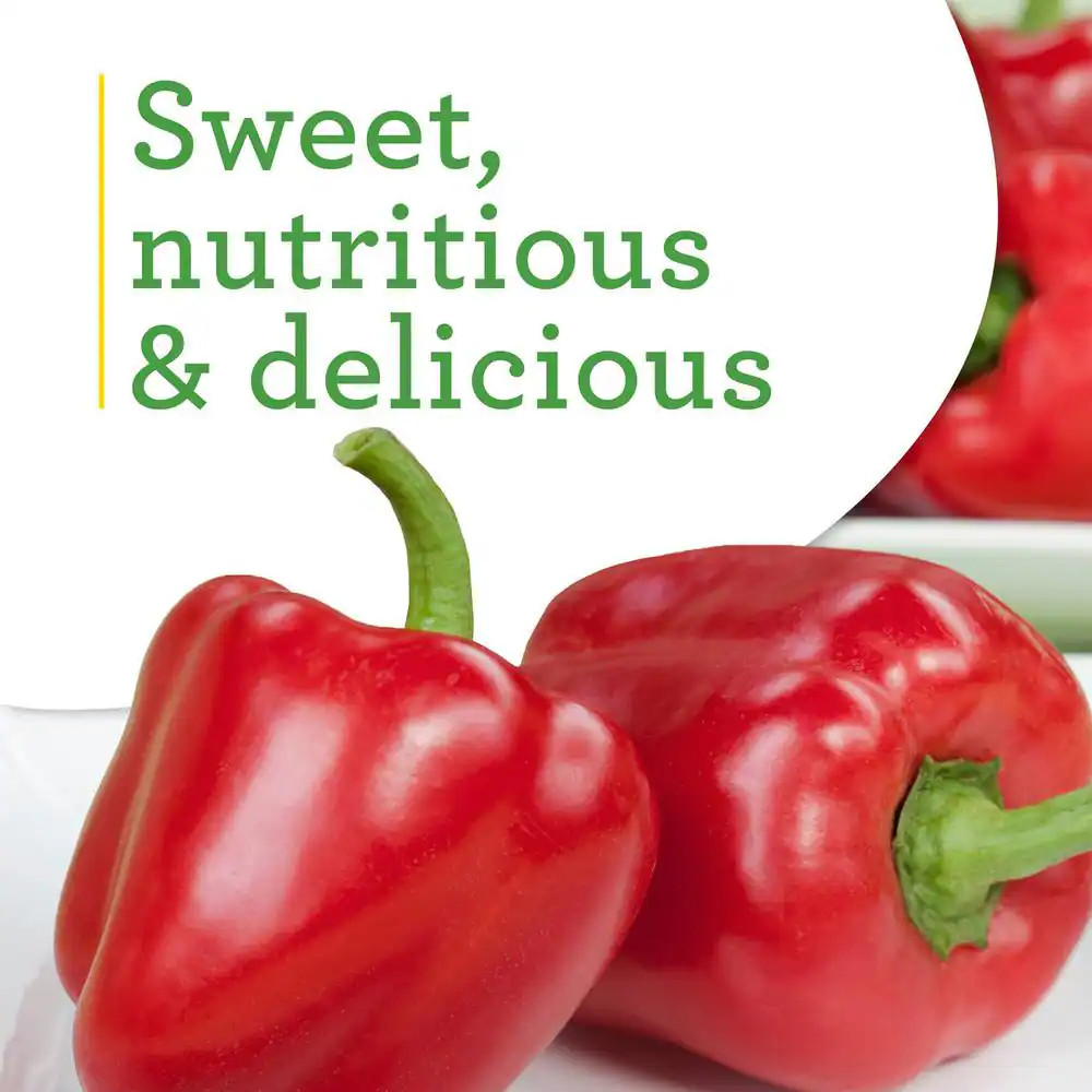 19 Oz. Sweet Red Bell Pepper Plant (2-Pack)