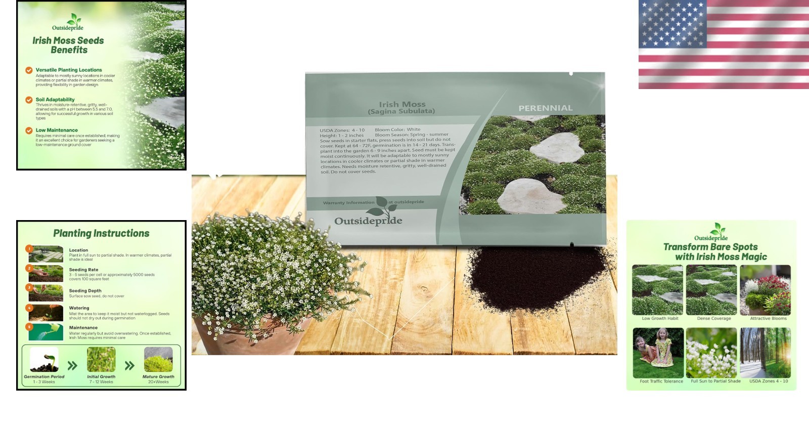 Shade-Tolerant Irish Moss Seeds – 5000 Pcs, Perfect for Rock Gardens and Borders
