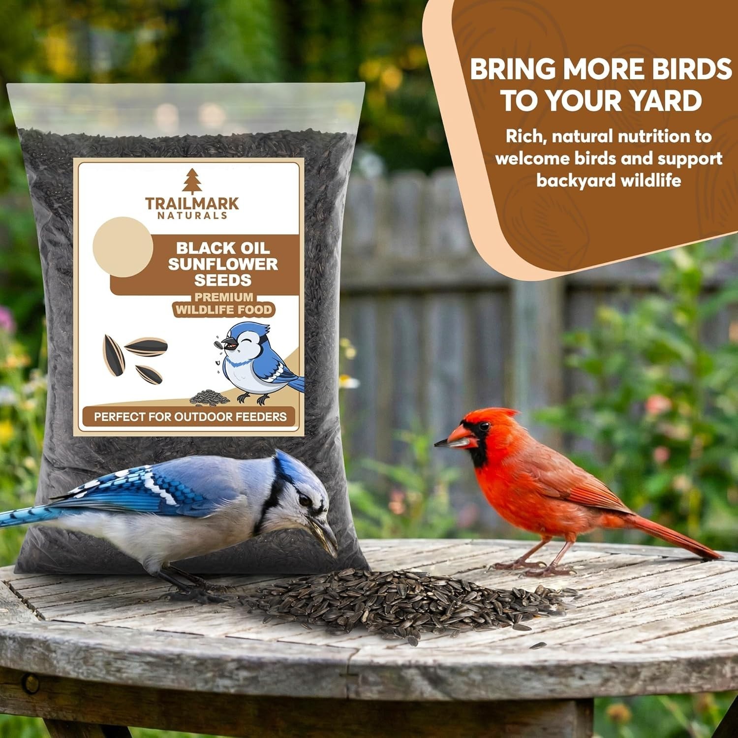3 LB Black Oil Sunflower Seeds for Birds – Wildlife & Bird Food – Grown in …