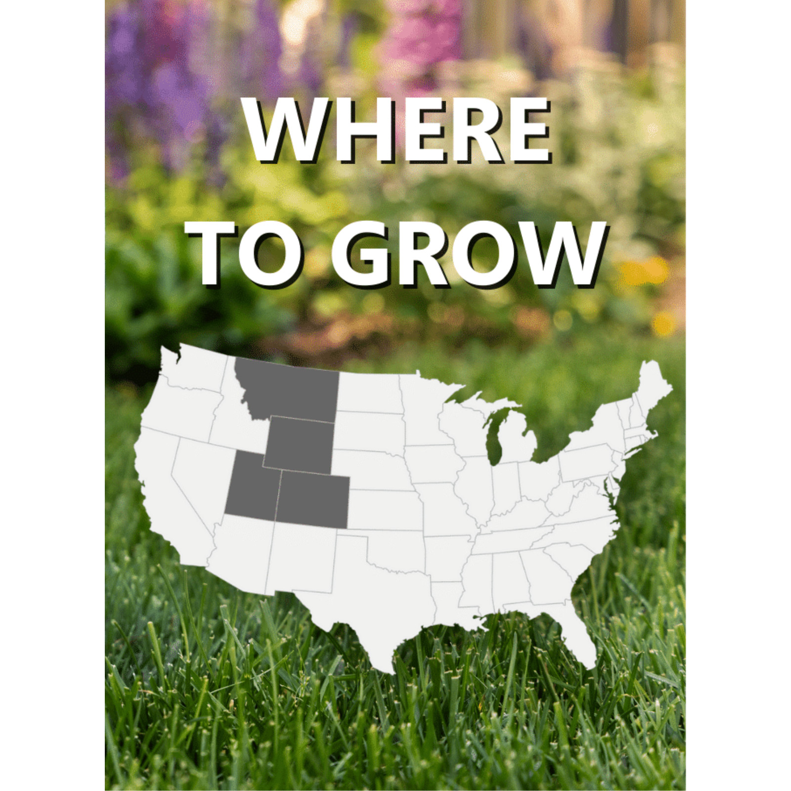 Black Beauty Rocky Mountain Colorado Lawn Grass Seed. 7lb