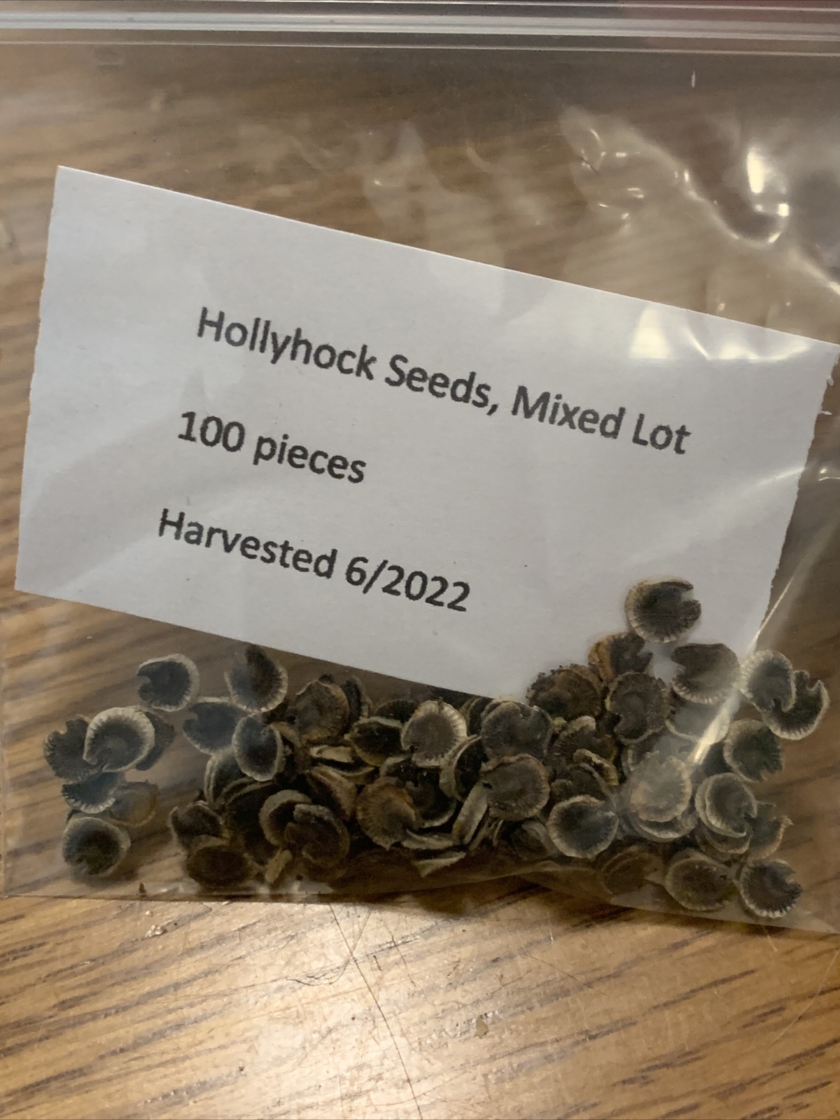 Hollyhock Seeds 100 Pieces Mixed Lot Red, Pink, Yellow, And More