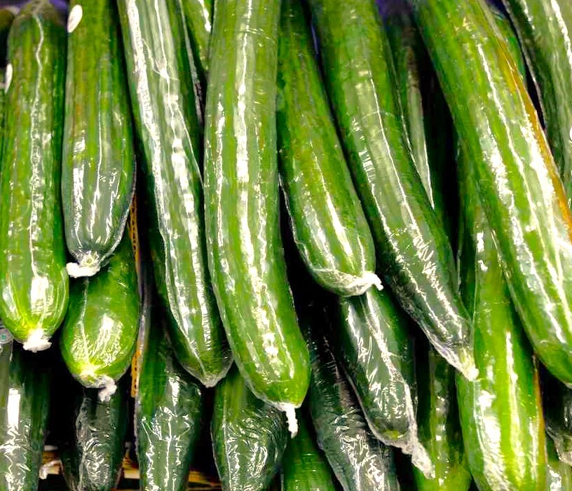 English Telegraph Burpless Cucumber Seeds | Heirloom Crisp Cucumbers Seed 2025