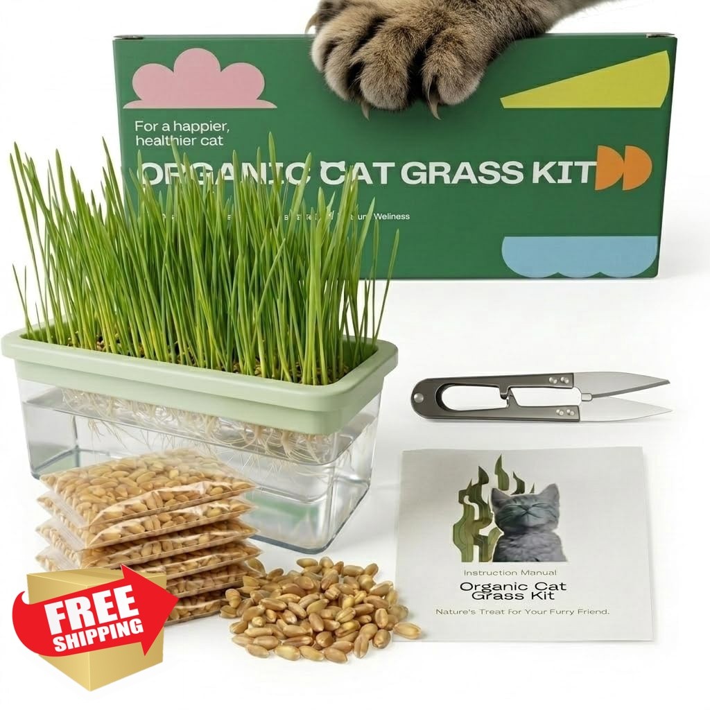 LYKOCLEAN cat grass kit 6pk seeds scissors