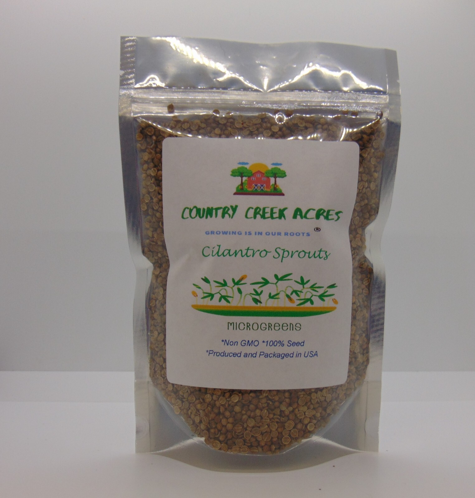 Cilantro 12 oz