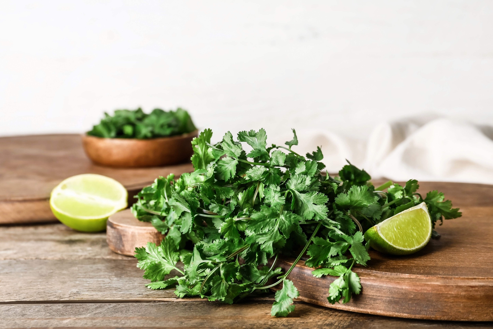 250 LEISURE CILANTRO / CORIANDER Coriandrum Sativum Herb Vegetable Seeds *CombSH