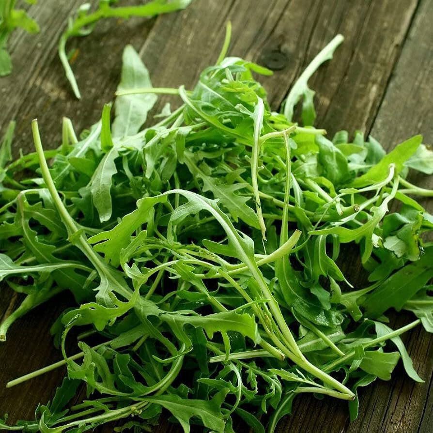 ARUGULA “ROCKET” 400 SEEDS LEAFY GREENS FRESH FOR GARDENS