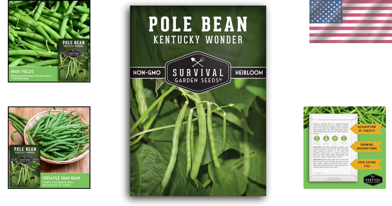 Heirloom Kentucky Wonder Pole Bean Seeds – 1 Pack of Stringless Climbing Beans