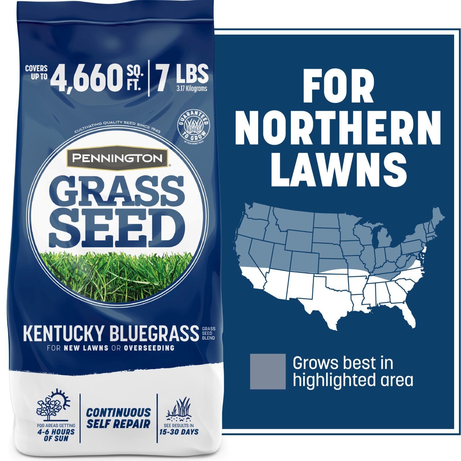 Pennington Kentucky Bluegrass Northern Grass Seed Mix for Sun to Partial Shade,