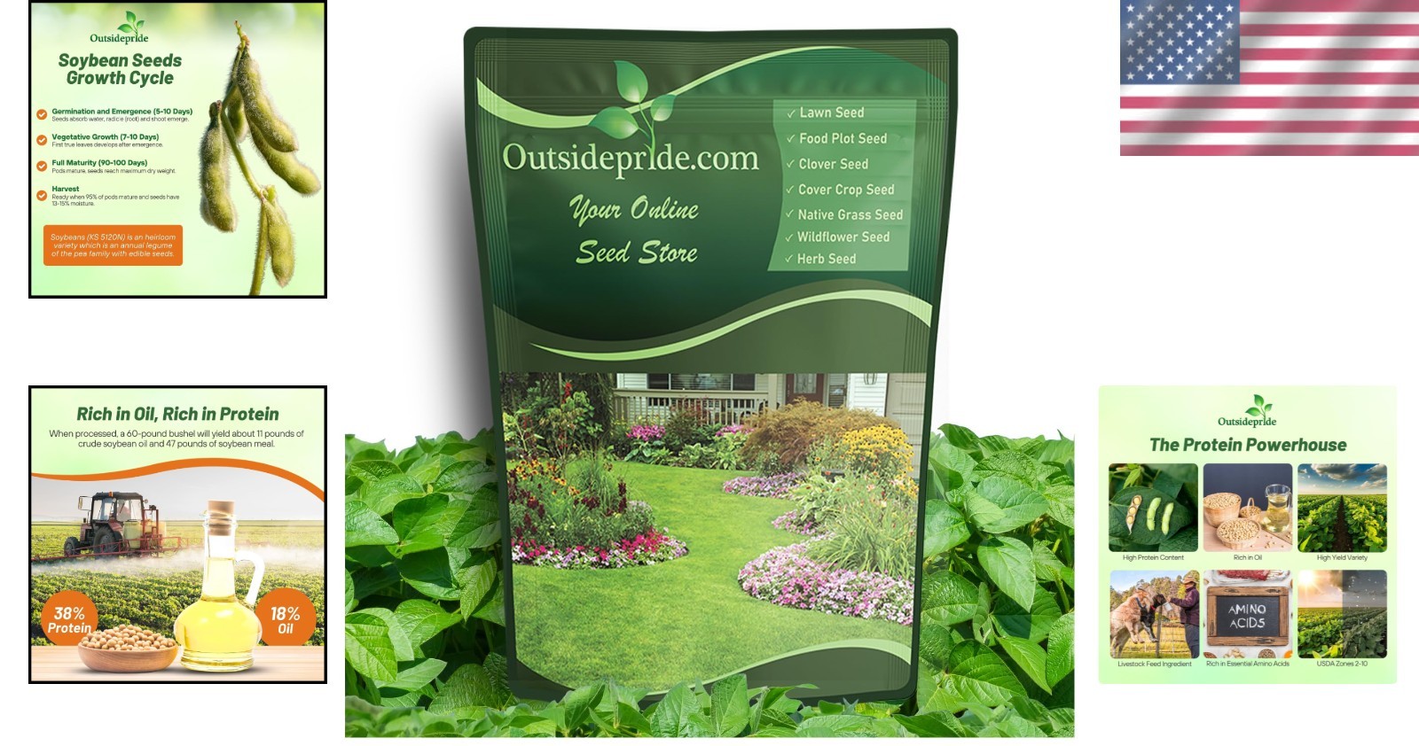 Disease-Resistant Heirloom Soybean Seeds – 10 lbs