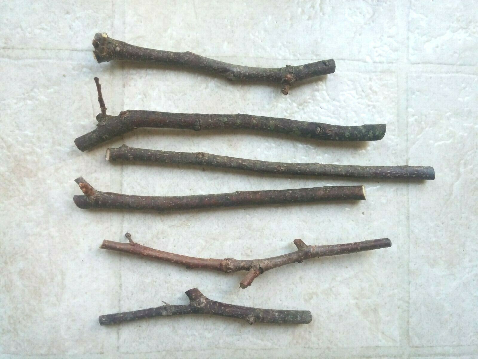 100% Organic Japanese maple Chew Sticks Twigs Pets Rabbit Hamster Guinea Pig Toy