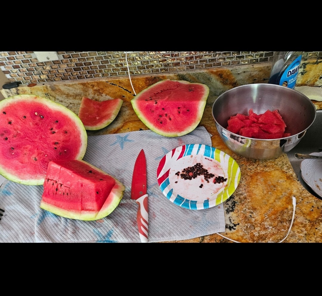 25 Allsweet Watermelon Seeds / Organic / NON GMO – FLORIDA GROWN – DELICIOUS