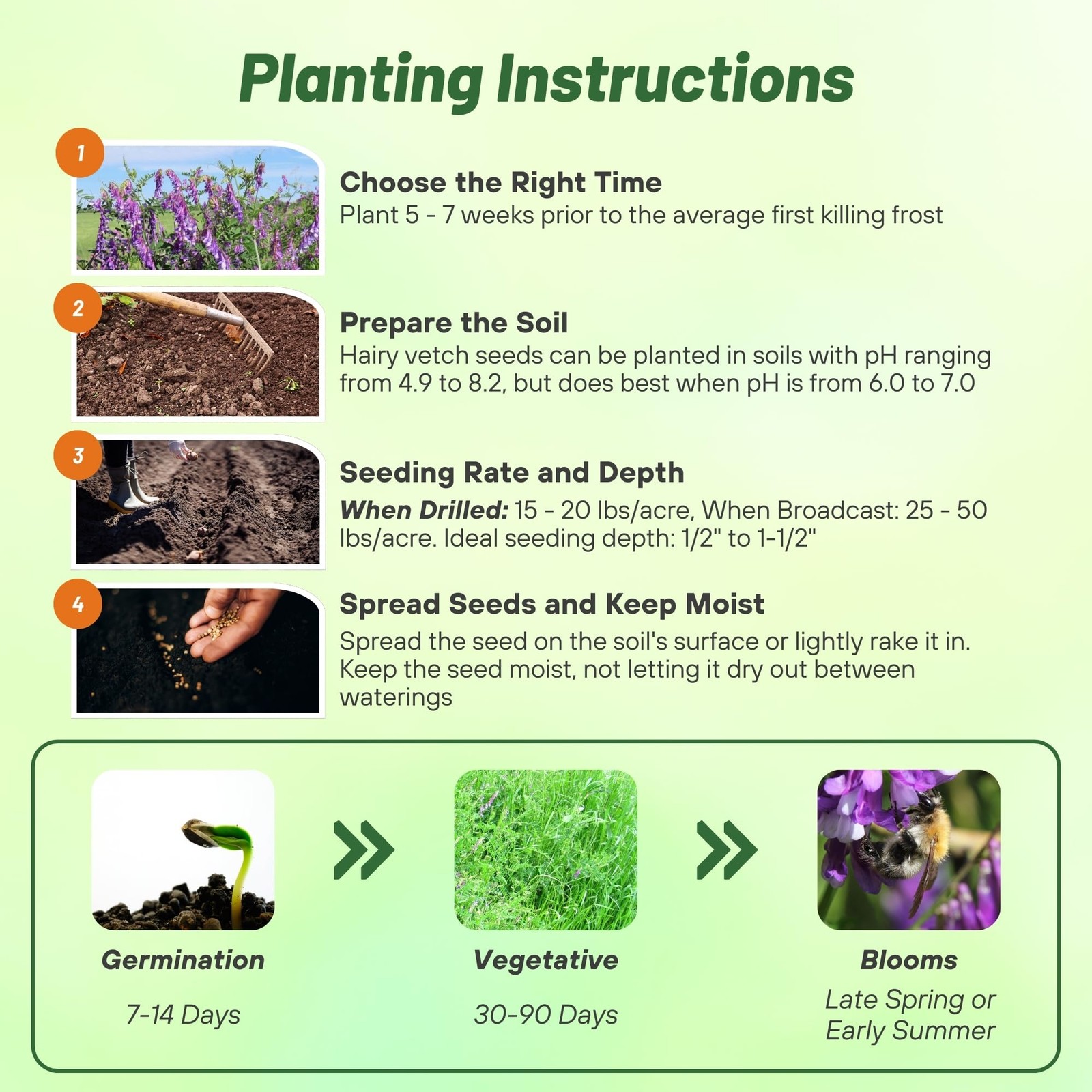 Hairy Vetch Cover Crop Seeds 10 Lbs for Soil Health, Pasture, and Forage