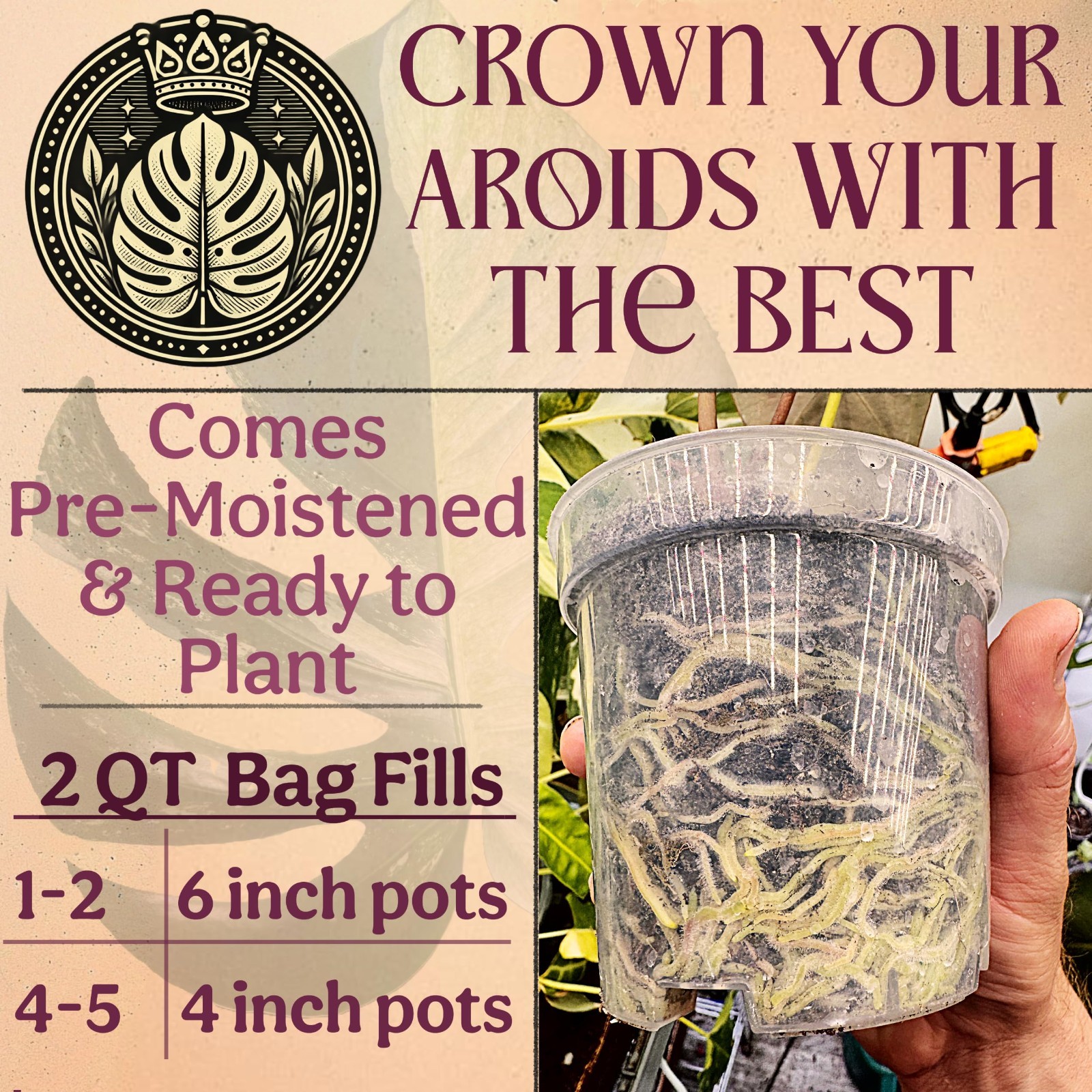 Organic Potting Mix for Aroids – Well-Draining Soil for Alocasia, Monstera, Phil