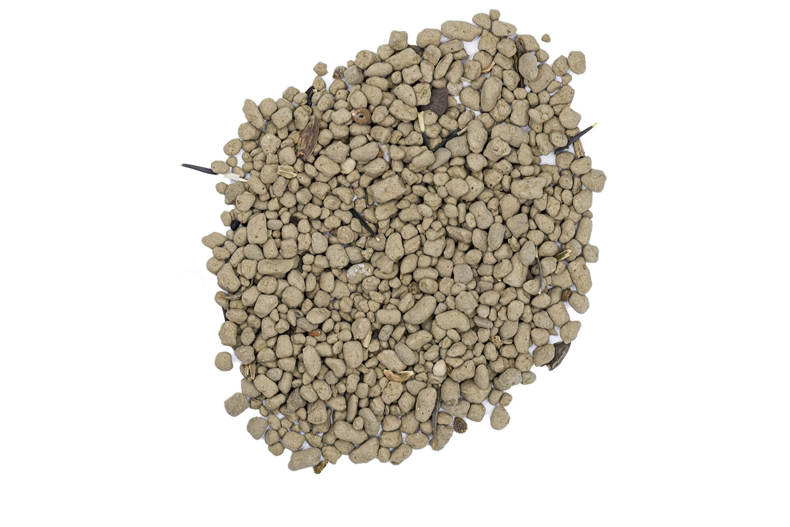 Zinnia Mix from (2 lb), 3-in-1 Mix with Premium Wildflower Seed, Plant Food a…