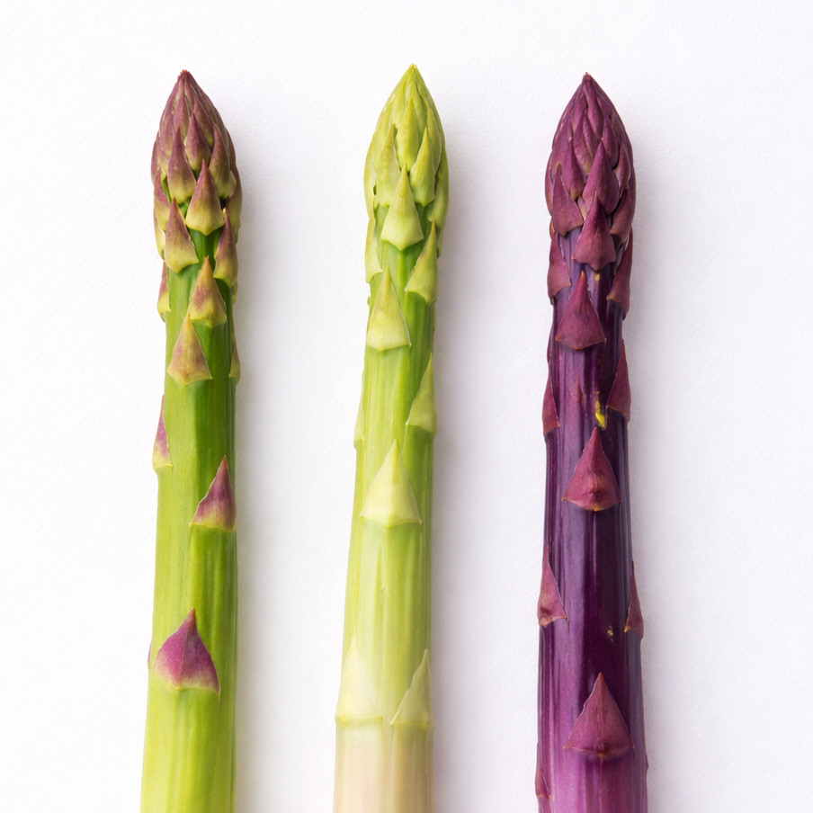 Asparagus Garden pack: Jersey Knight, Mary Washington, Purple Passion – 10 each