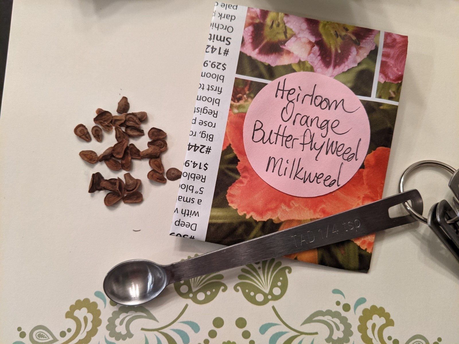Organic Heirloom Orange Butterfly Weed Milkweed Seeds