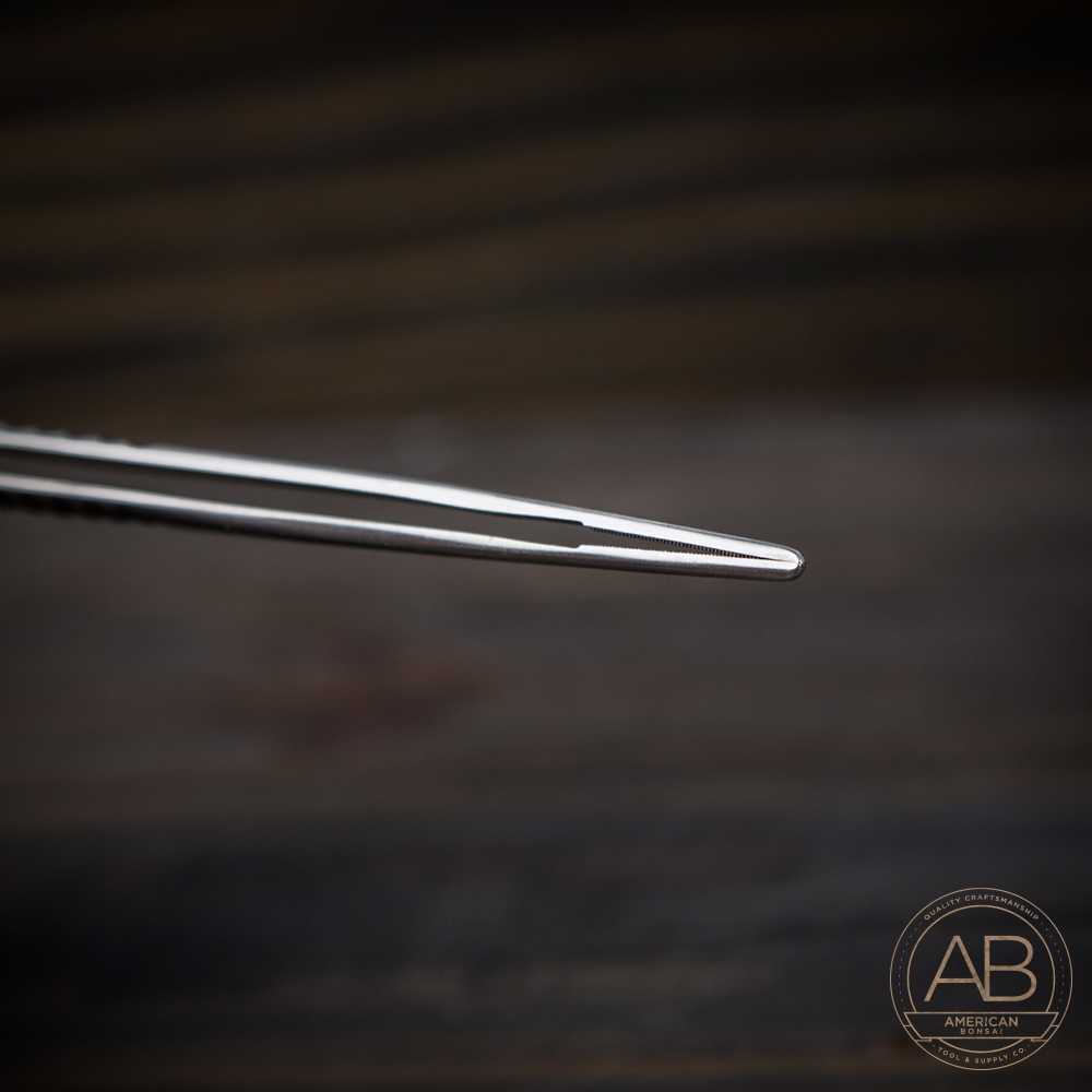 American Bonsai Stainless Steel STRAIGHT Tweezers