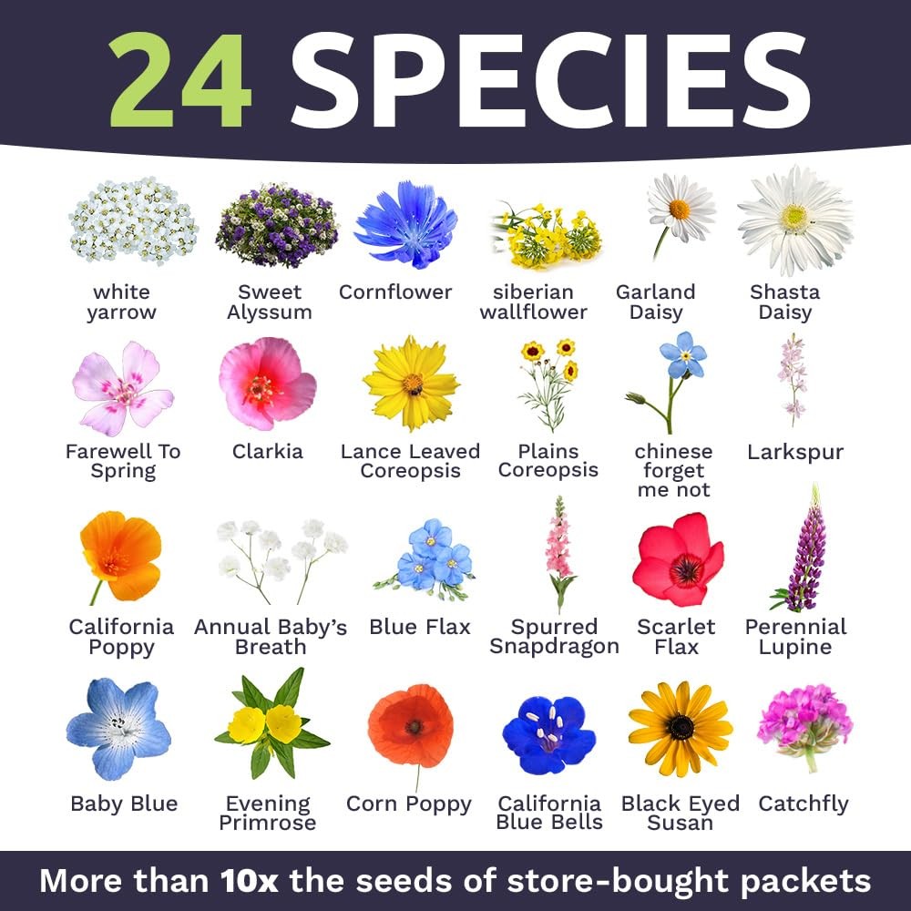 California Wildflower Mixture – Bulk 1/4 4 Ounce (Pack of 1), Multiple Colors