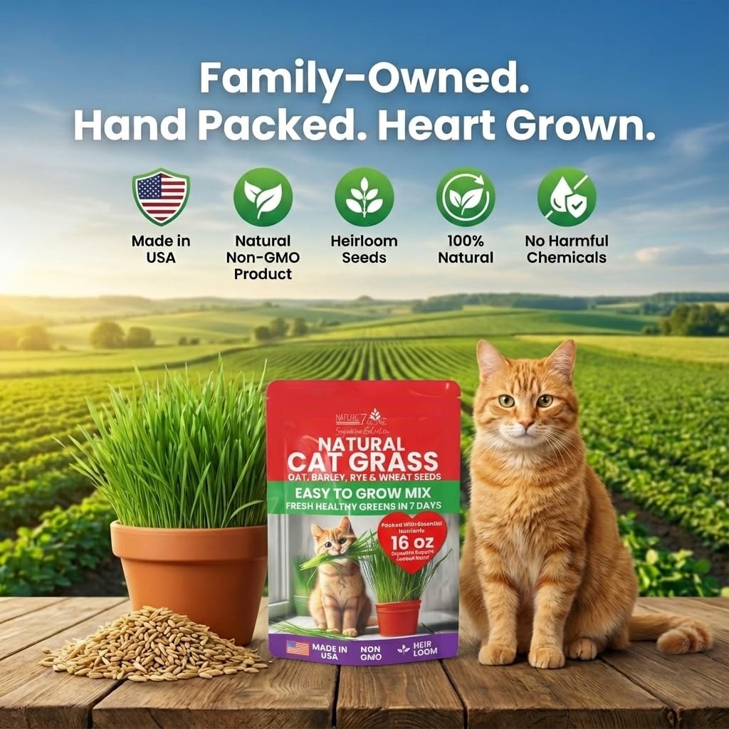 Premium Cat Grass Seeds for Indoor Cats, Non GMO – 1 lb Oat, Wheat, Barley & …