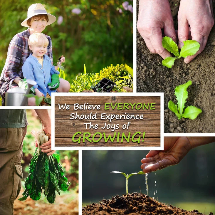 200 Amaranth Seeds | Heirloom I Non-GMO | Organic Free Shipping &Tracking