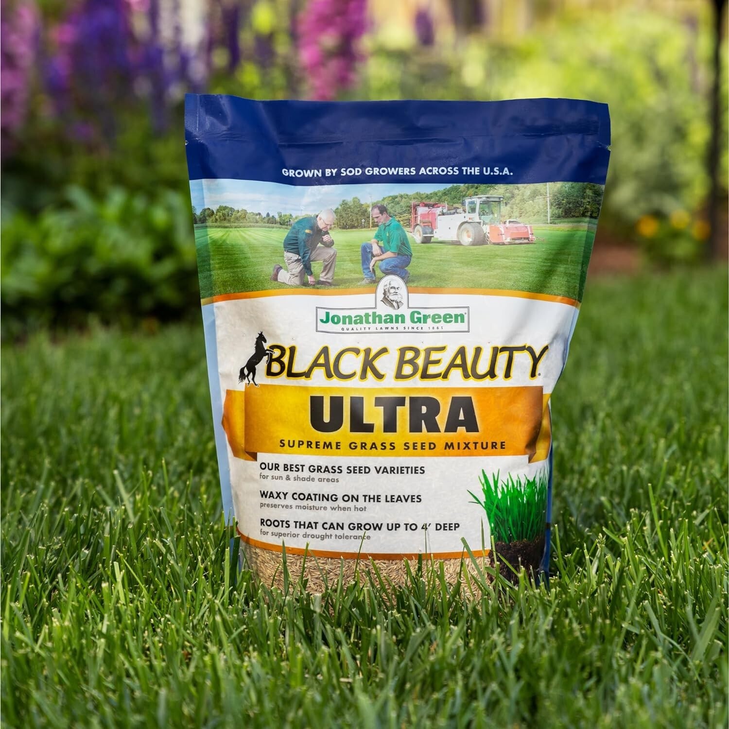 Lush Lawn with Black Beauty Ultra Grass Seed – Full Sun to Partial Shade – 7 lb