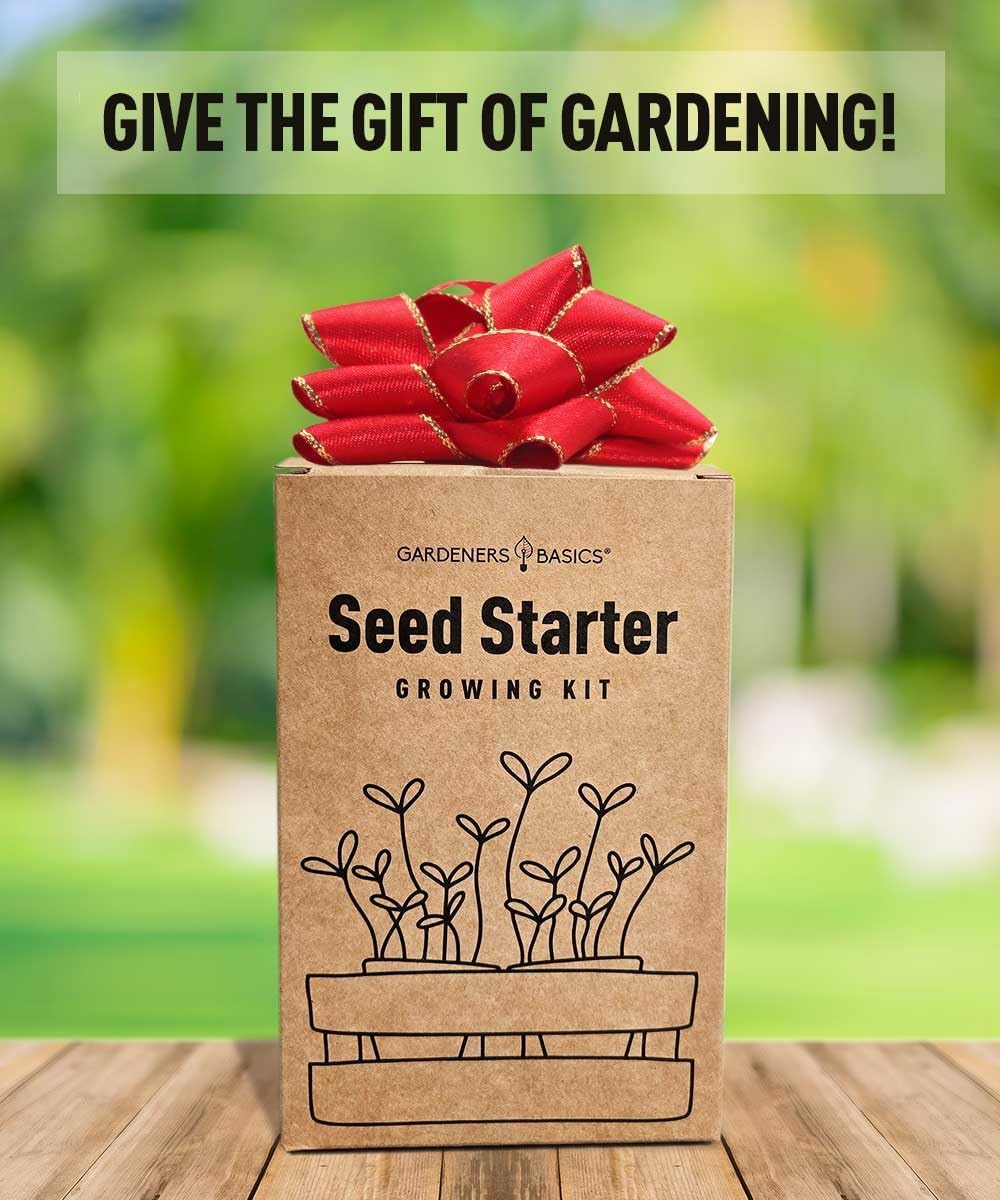 Tomato Growing Kit – Grow 8 Varieties of Delicious Red, Yellow, Purple, Green