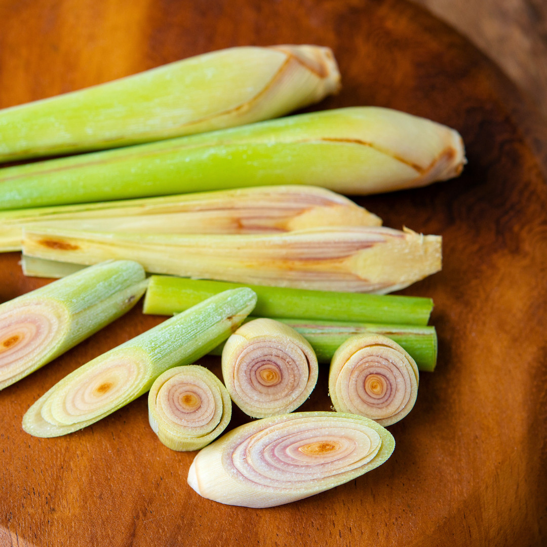 Fresh Lemongrass Herb Seeds | Xiang Mao | Heirloom Non-GMO | Asian Herb Seeds