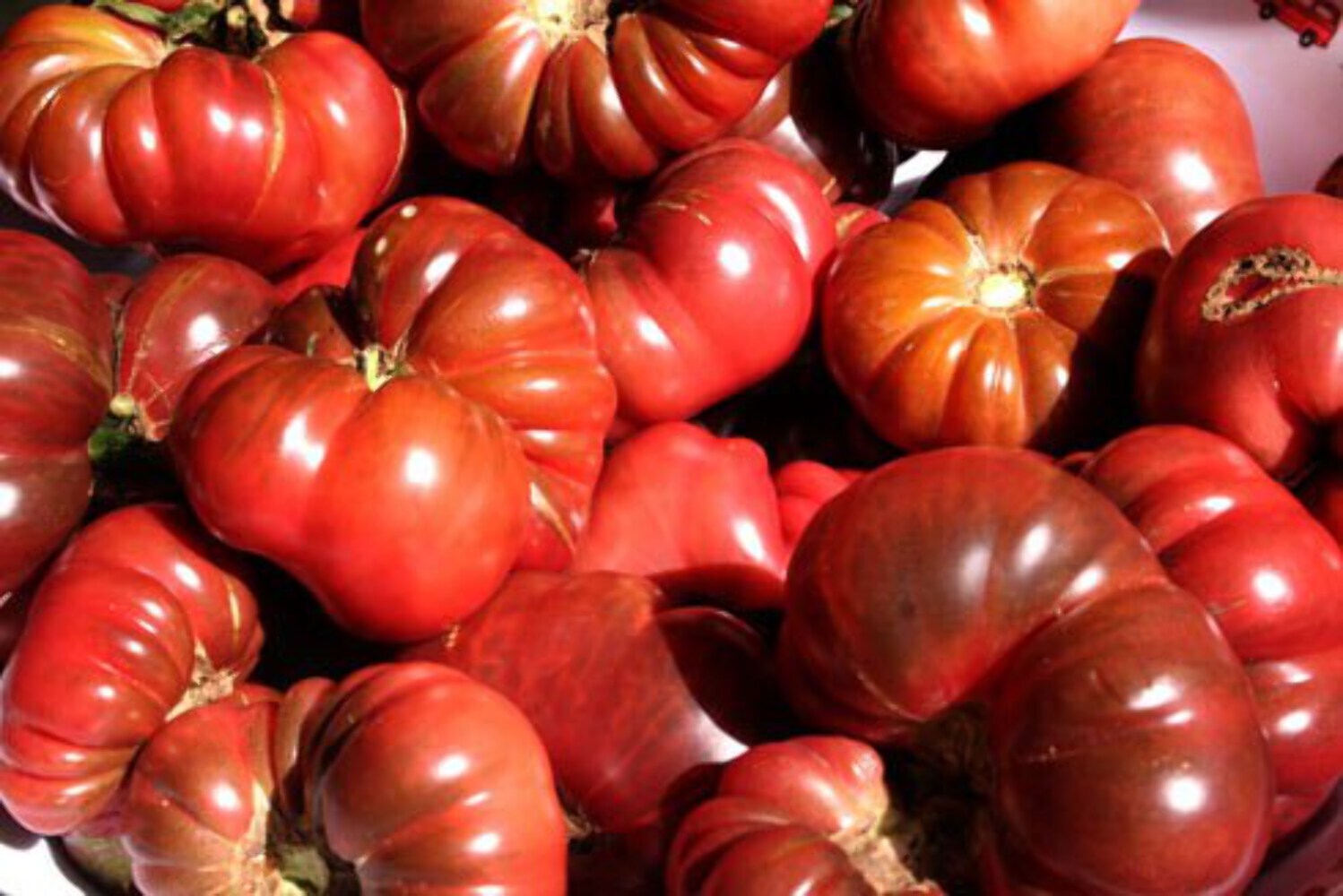 40 PURPLE CALABASH TOMATO Solanum Lycopersicum Indeterminate Heirloom Seeds